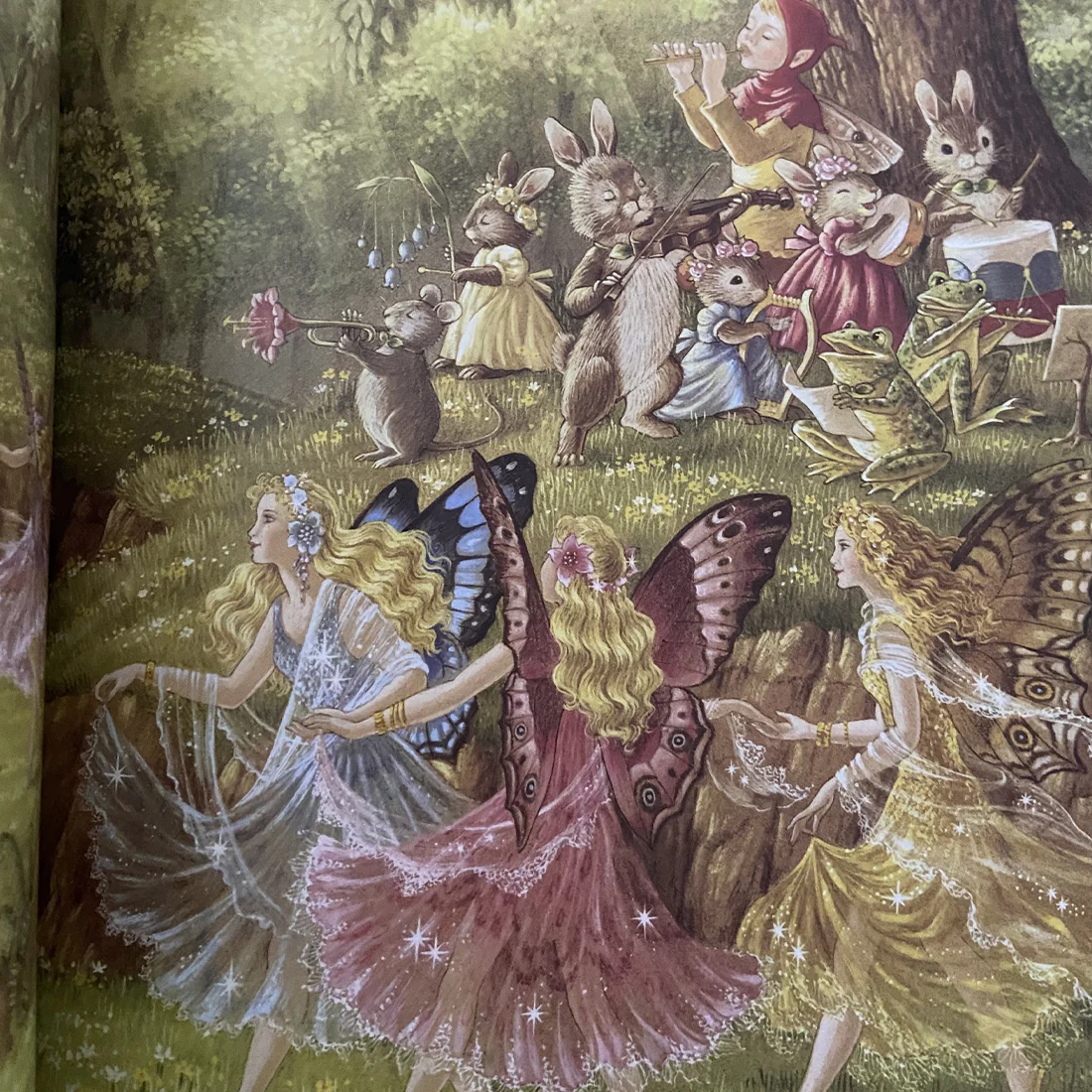 A Visit to Fairyland Paperback Book by Shirley Barber - Image 3
