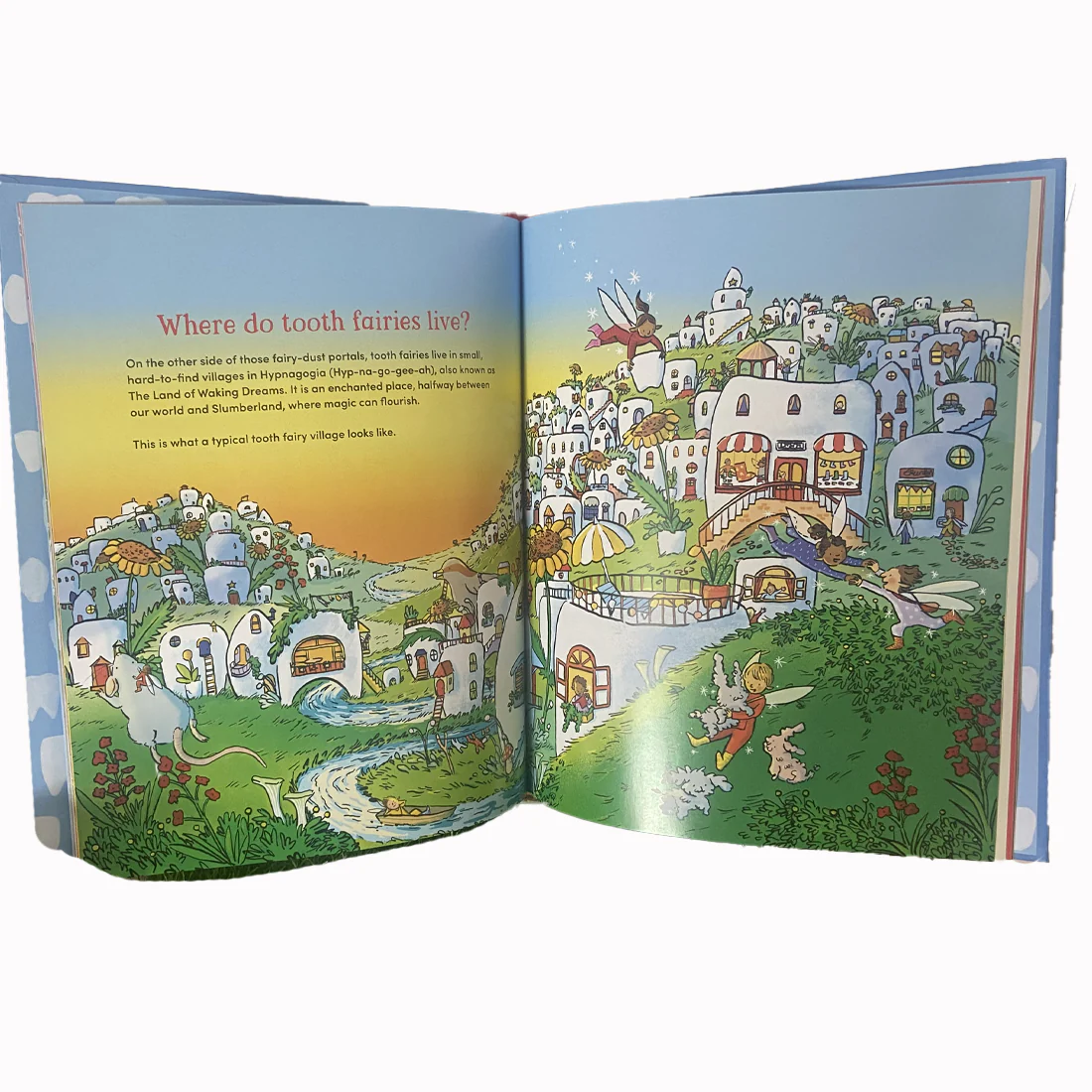 Everything You Ever Wanted to Know About the Tooth Fairy (And Some Things You Didn't) by Briony Stewart - Book - Image 3