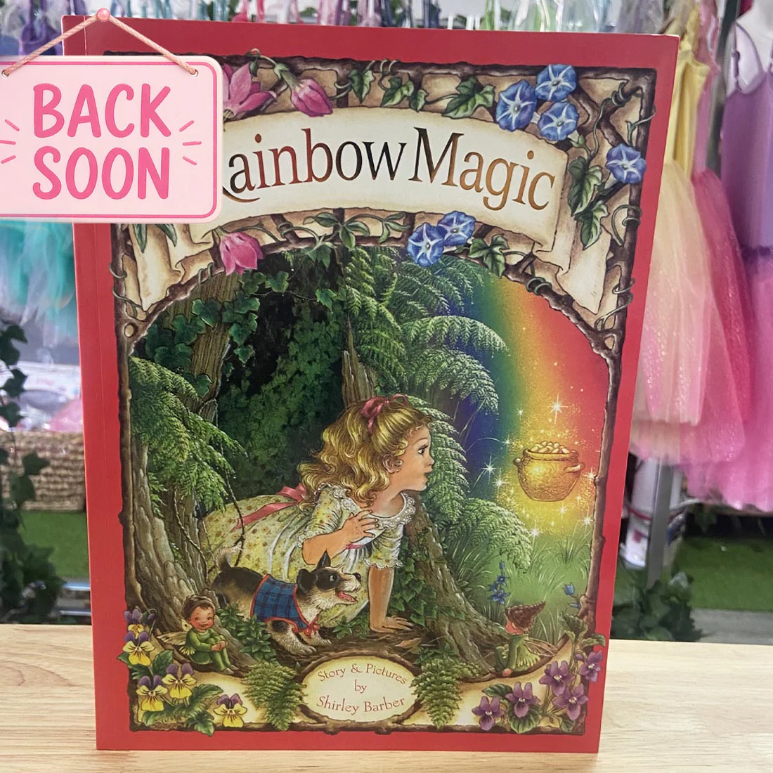 Rainbow Magic Paperback Book by Shirley Barber