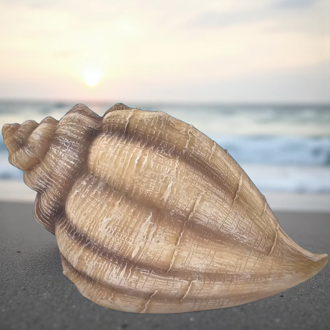 The Mermaid Conch Shell House - Image 2